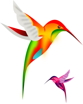 Elegant Hummingbird Duo Soaring in Colorful Harmony Clipart Design