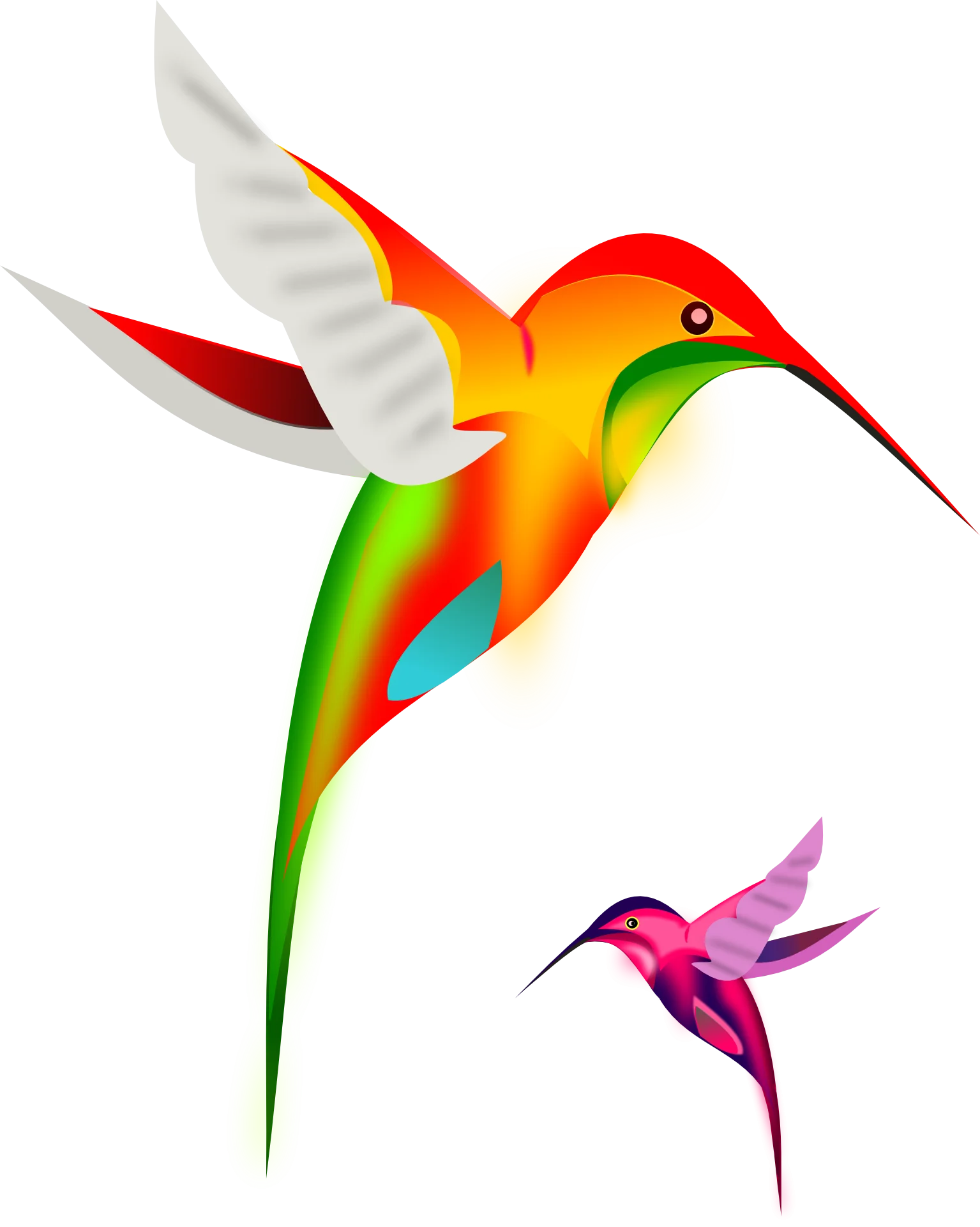Elegant Hummingbird Duo Soaring in Colorful Harmony Clipart Design