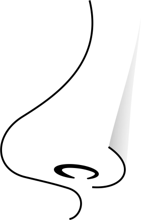 Elegant Minimalist Side Profile Nose Clipart Illustration