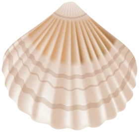 Elegant Seashell Clipart: Soft Beige Scallop Shell Illustration with Delicate Ridges