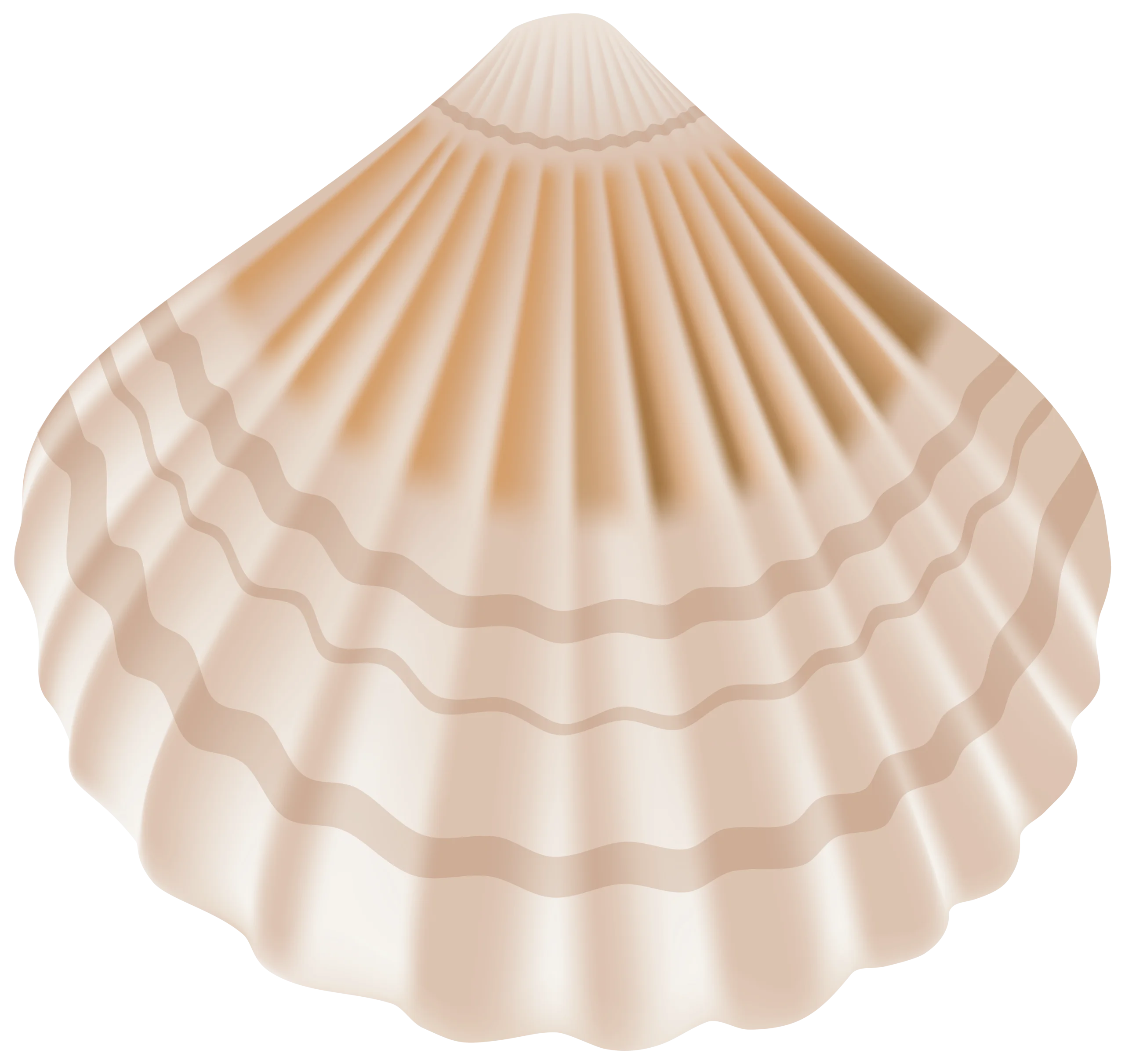 Elegant Seashell Clipart: Soft Beige Scallop Shell Illustration with Delicate Ridges