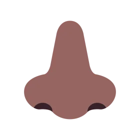 Minimalist Anatomical Human Nose Silhouette Clipart Design in Earthy Terracotta Tone