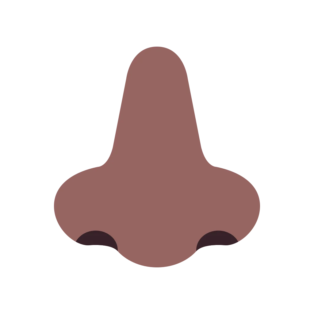 Minimalist Anatomical Human Nose Silhouette Clipart Design in Earthy Terracotta Tone
