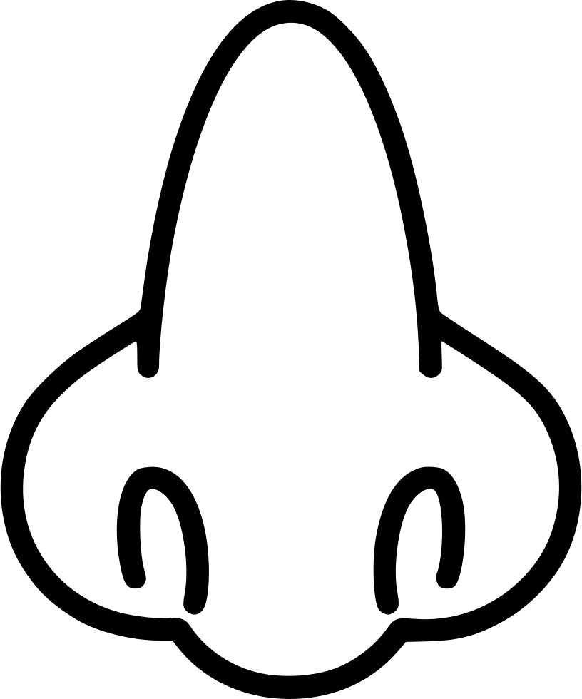 Minimalist Black and White Simple Nose Clipart Design with Curved Lines