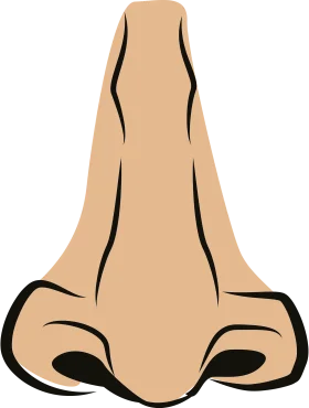 Minimalist Human Nose Clipart with Simple Geometric Outline Design