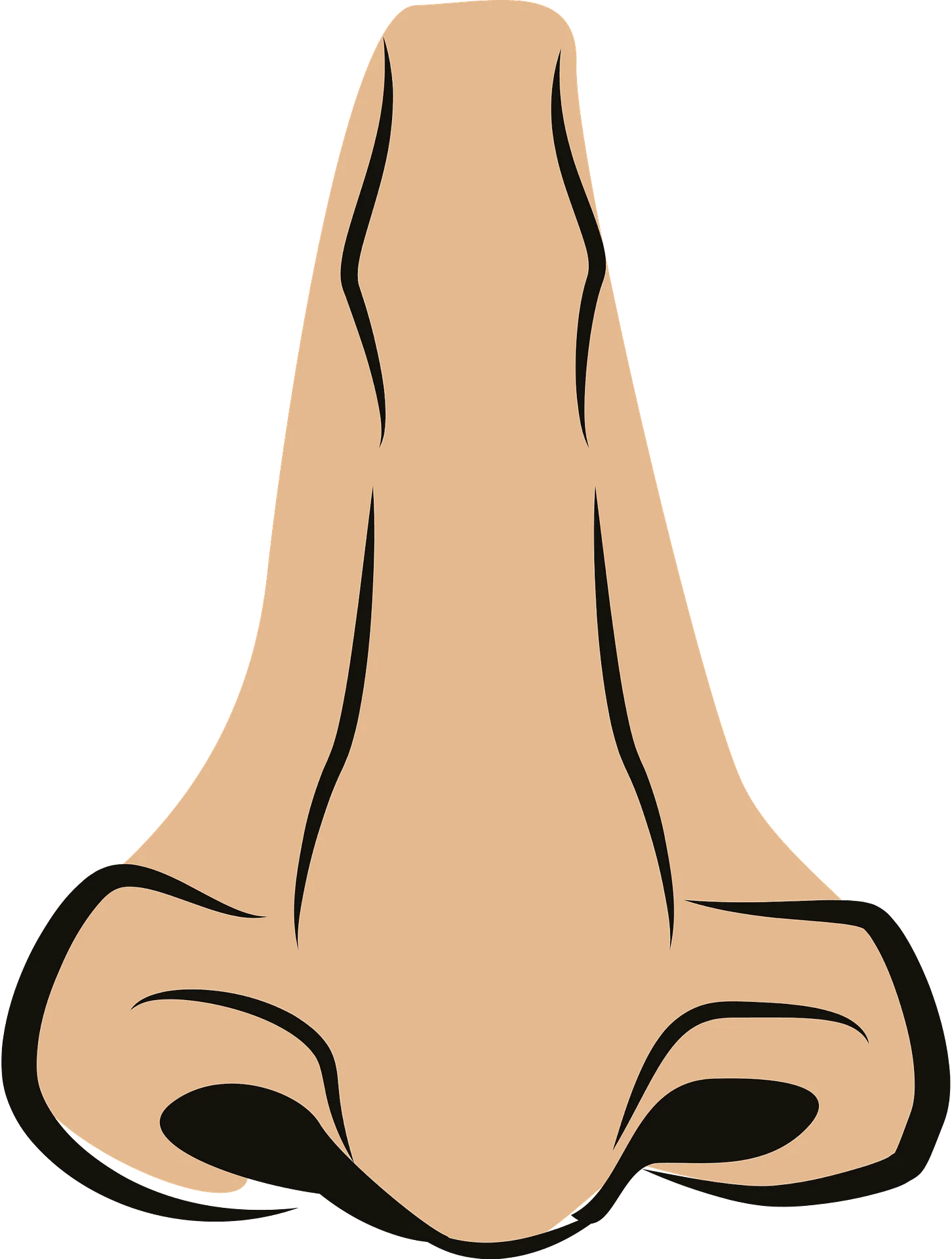 Minimalist Human Nose Clipart with Simple Geometric Outline Design