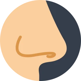 Minimalist Human Nose Profile Clipart Design with Soft Color Palette