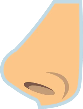 Minimalist Human Nose Side Profile Clipart Illustration in Soft Pastel Colors