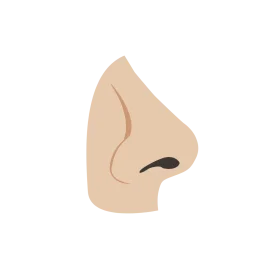 Minimalist Nude-Toned Human Nose Clipart with Subtle Shading Illustration