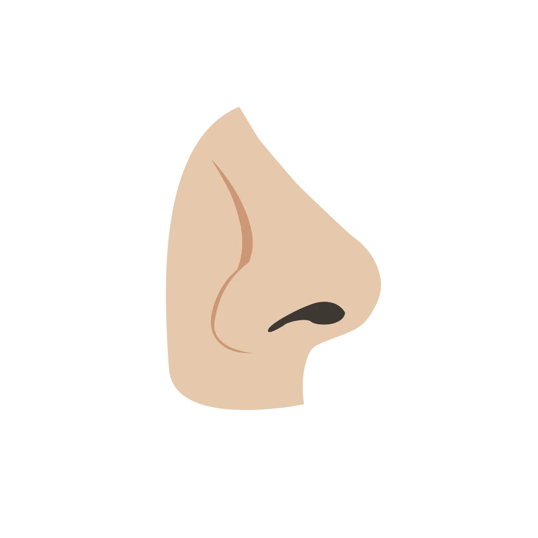 Minimalist Nude-Toned Human Nose Clipart with Subtle Shading Illustration