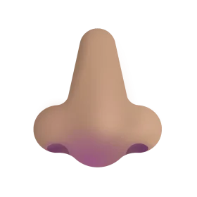 Realistic Anatomical Human Nose Clipart with Soft Skin Tone Gradient