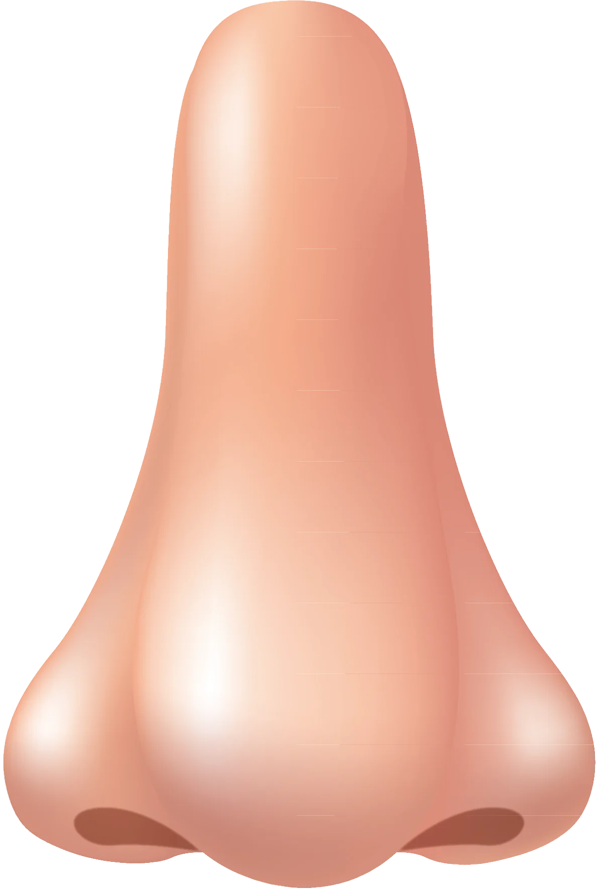 Realistic Human Nose Clipart with Soft Peach Skin Tone and Nostrils