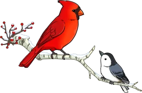 Serene Winter Cardinals and Chickadee Branch Clipart Illustration