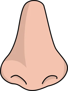 Simple Cartoon Human Nose Clipart with Soft Peach-Toned Skin Illustration