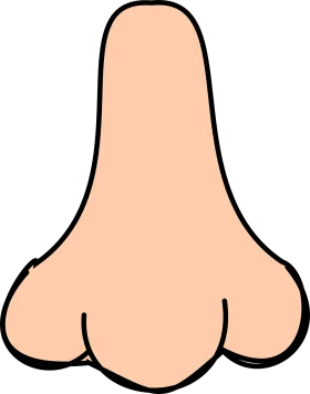 Simple Peach-Toned Cartoon Nose Clipart with Smooth Contours and Clean Lines