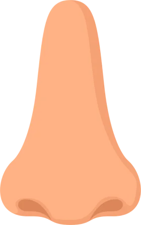 Simple Peach-Toned Human Nose Clipart Illustration with Soft Contours
