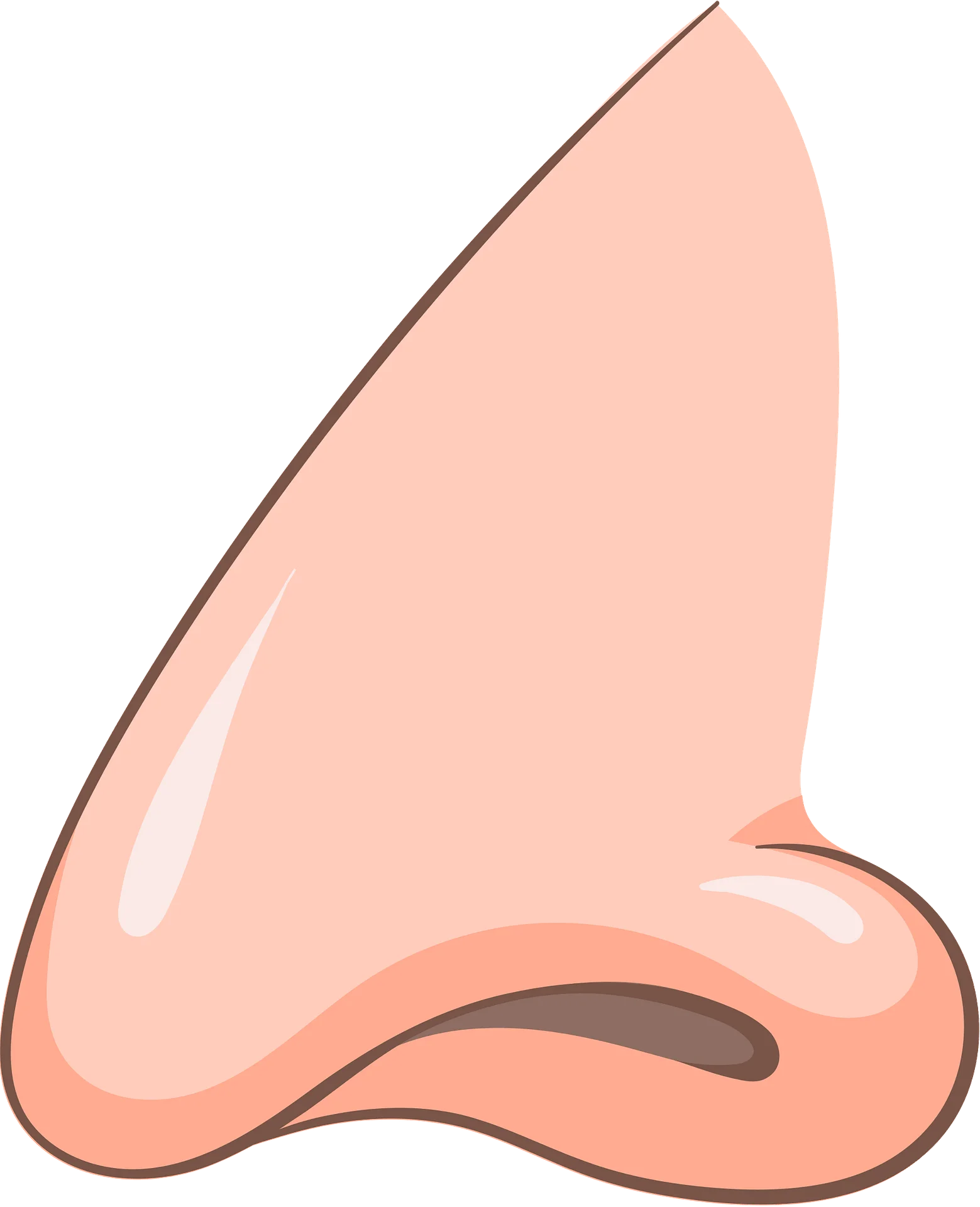 Soft Peach Human Nose Cartoon Clipart Illustration for Medical Design