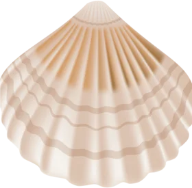 Elegant Beige Seashell Clipart with Soft Ridged Texture and Delicate Symmetry
