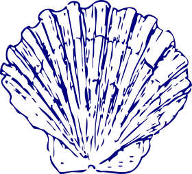 Elegant Blue Nautical Seashell Clipart - Delicate Marine Illustration Design