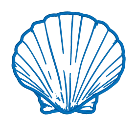Elegant Blue Scallop Shell Outline Clipart - Minimalist Marine Design Illustration