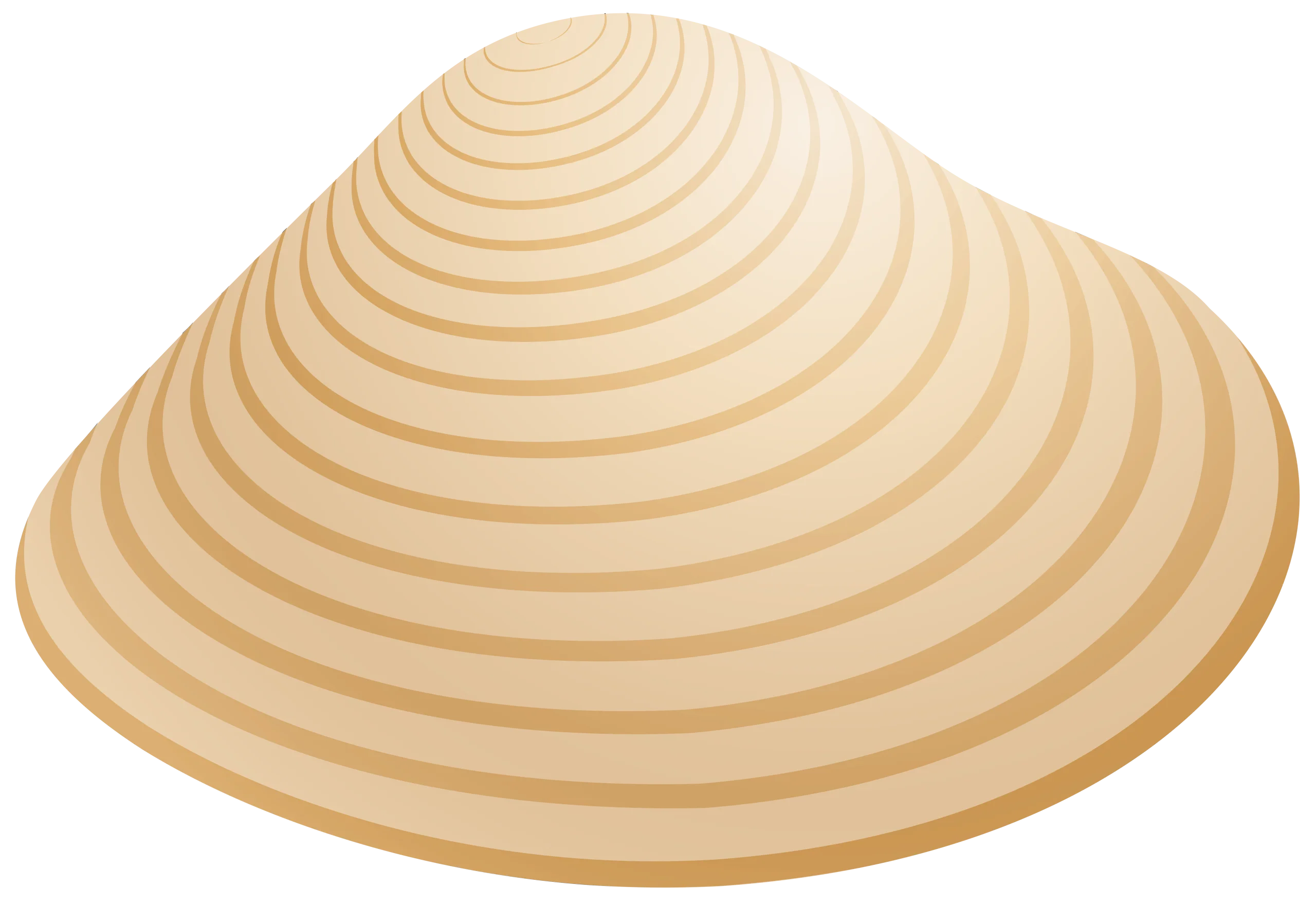 Elegant Conical Seashell Clipart with Smooth Concentric Rings and Soft Beige Tones