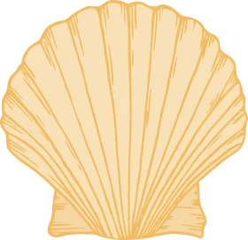 Elegant Golden Seashell Clipart: Classic Scallop Shell Illustration with Soft Radial Lines