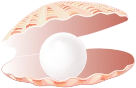 Elegant Peach-Toned Seashell Clipart with Lustrous Pearl Illustration
