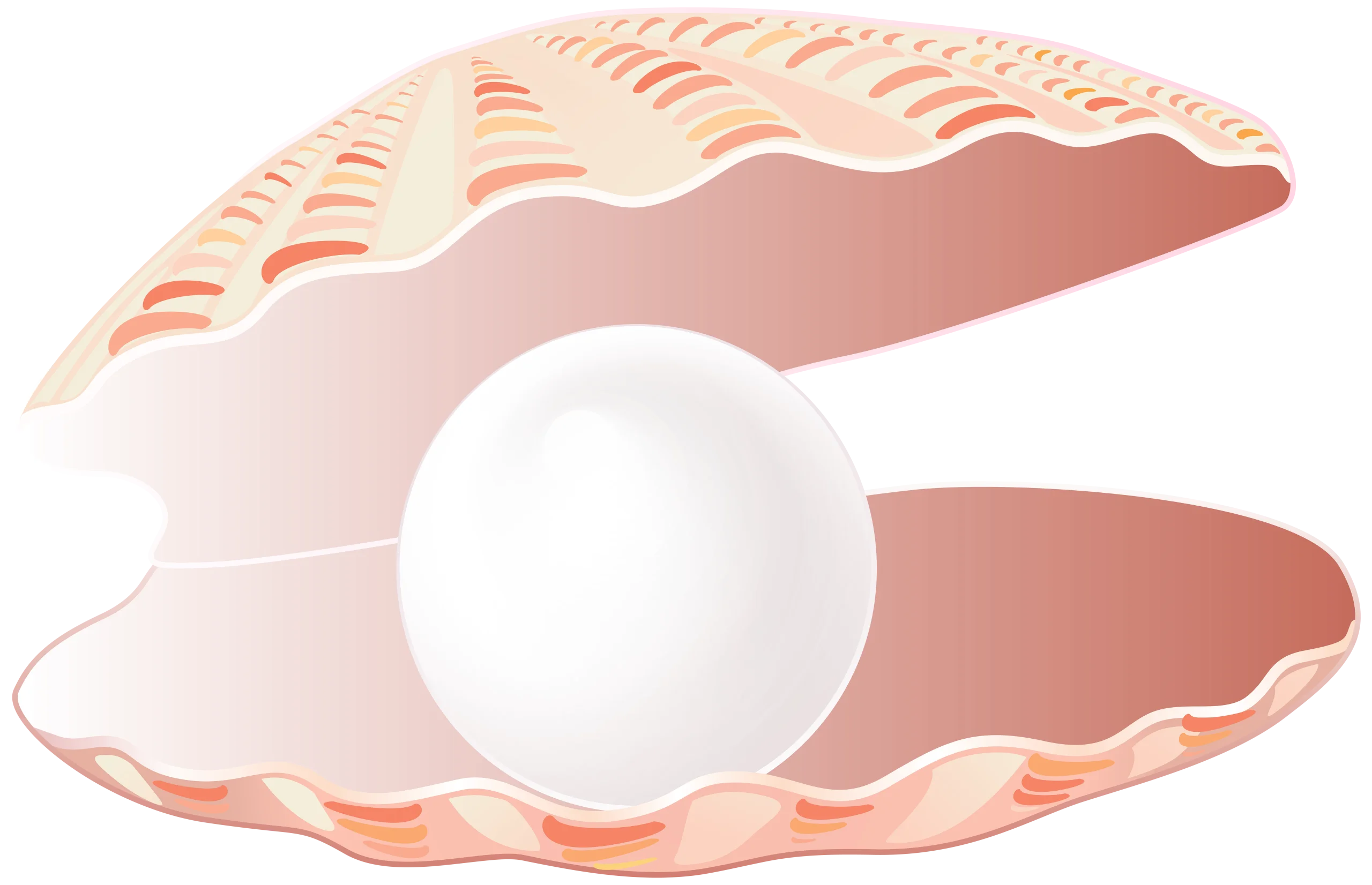 Elegant Peach-Toned Seashell Clipart with Lustrous Pearl Illustration