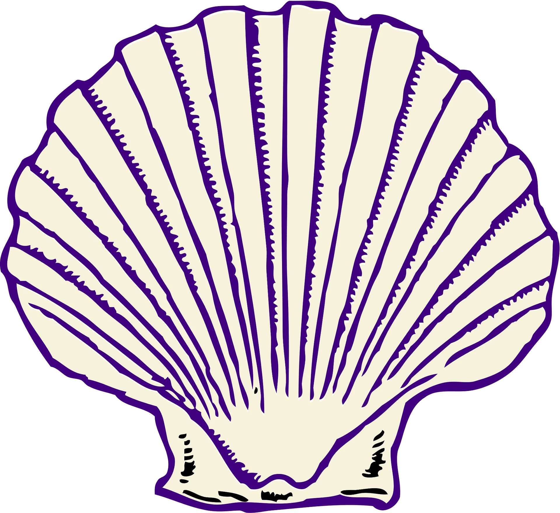 Elegant Purple and Cream Seashell Clipart - Vintage Nautical Design Illustration