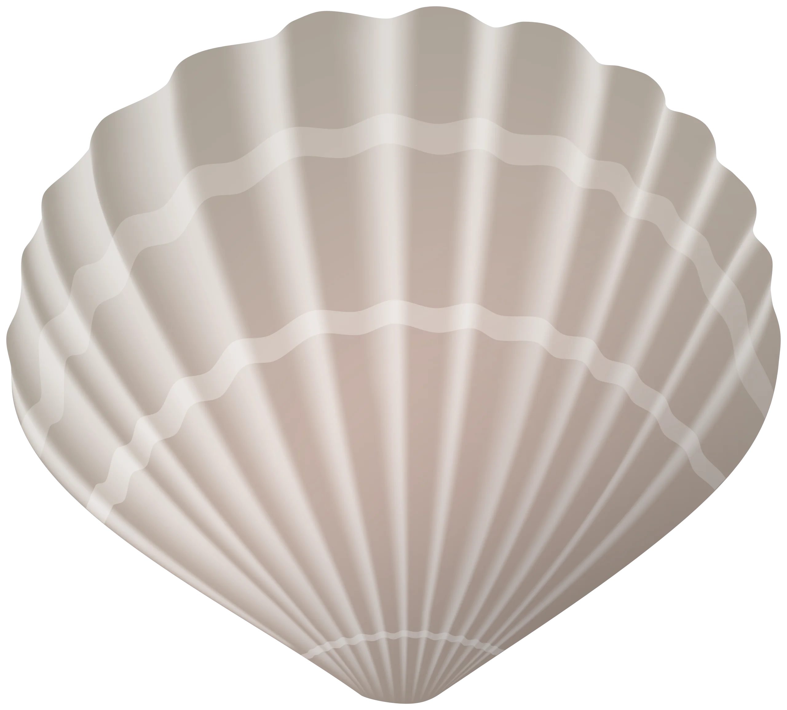 Elegant Seashell Clipart: Soft Ivory Scallop Shell Vector Graphic Design Element