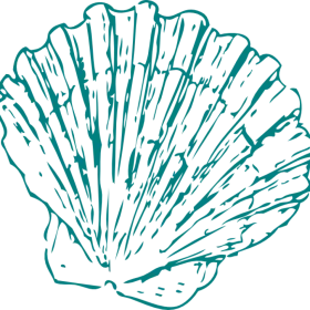 Elegant Teal Seashell Clipart - Intricate Marine Life Illustration Design