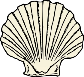 Elegant Vintage Scallop Seashell Clipart with Intricate Linear Texture Design