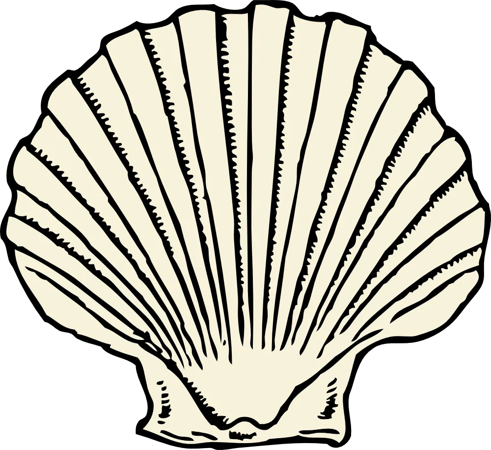 Elegant Vintage Scallop Seashell Clipart with Intricate Linear Texture Design