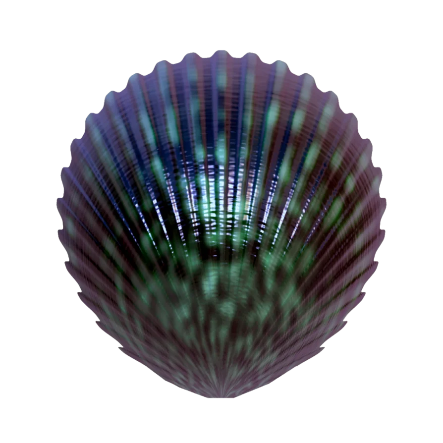 Iridescent Scallop Shell Clipart with Mesmerizing Blue-Green Color Gradient