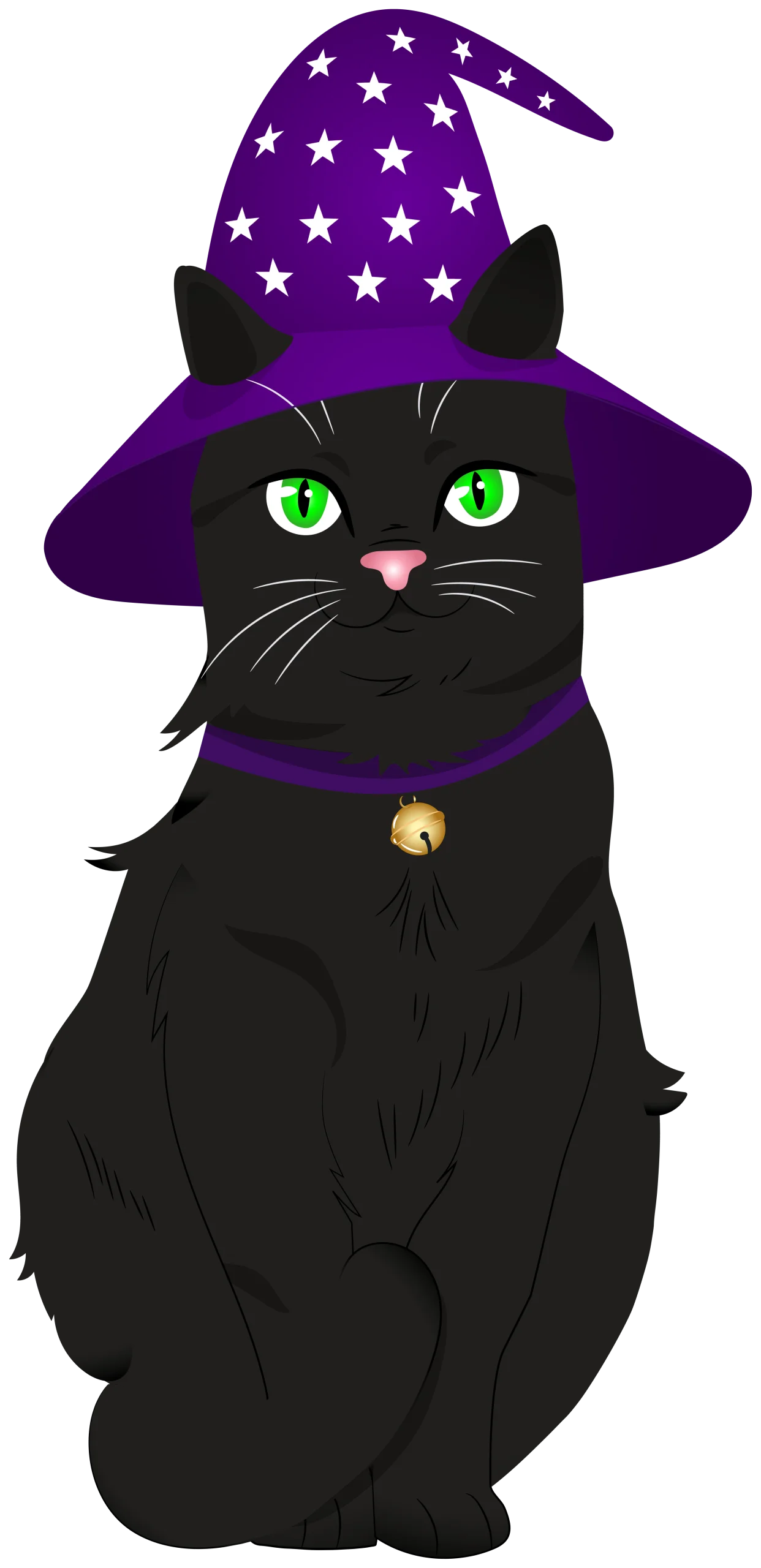 Enchanting Halloween Witch Cat Clipart: Magical Feline in Starry Purple Hat