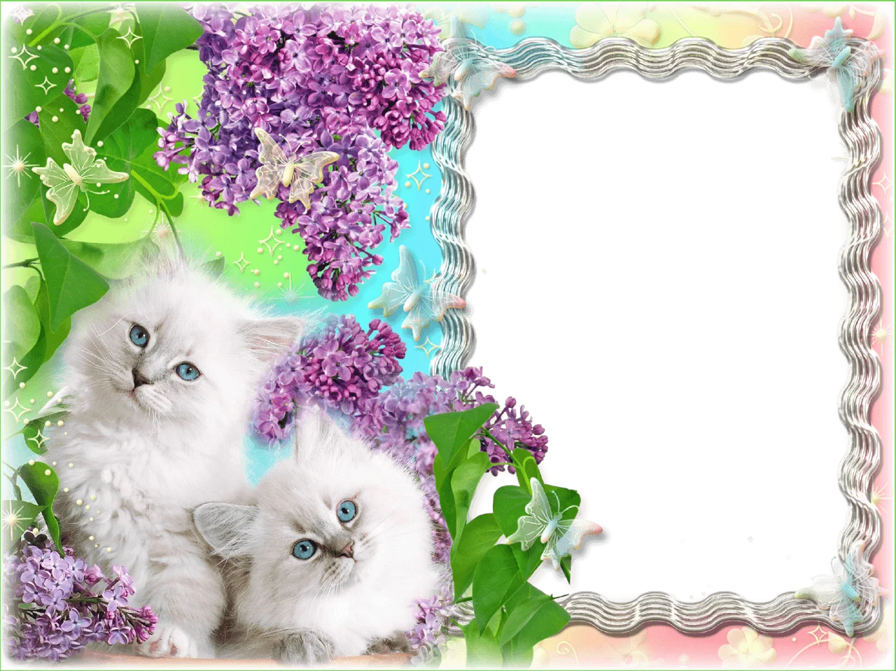 Adorable Fluffy White Kittens Nestled Amidst Dreamy Lilac Flower Clipart Frame