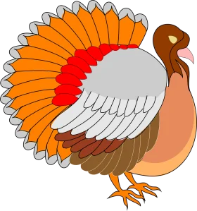 Festive Thanksgiving Turkey Clipart with Colorful Feathered Plumage and Traditional Design