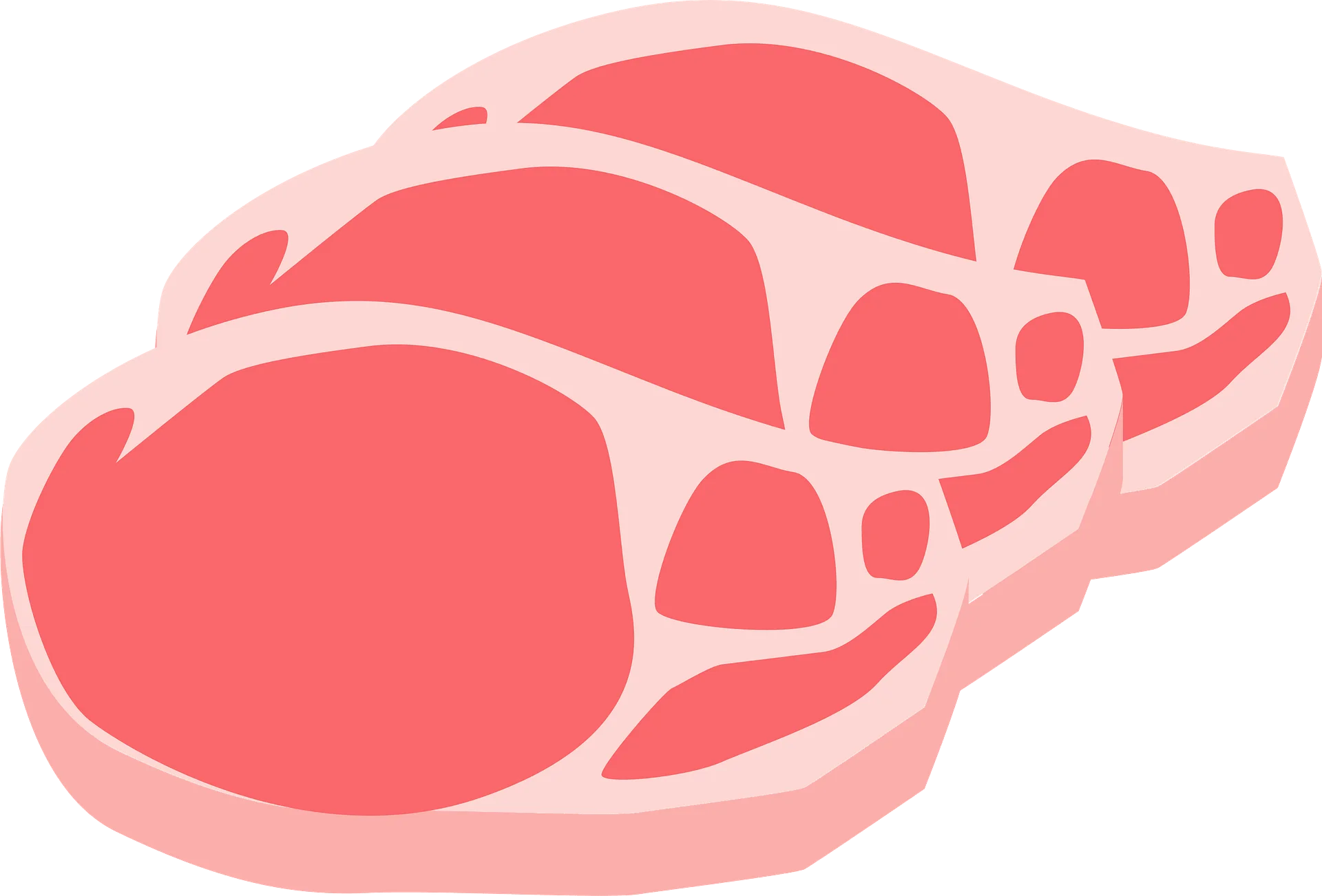 Fresh Pink and Coral Meat Cut Slice Realistic Pork Steak Clipart Illustration
