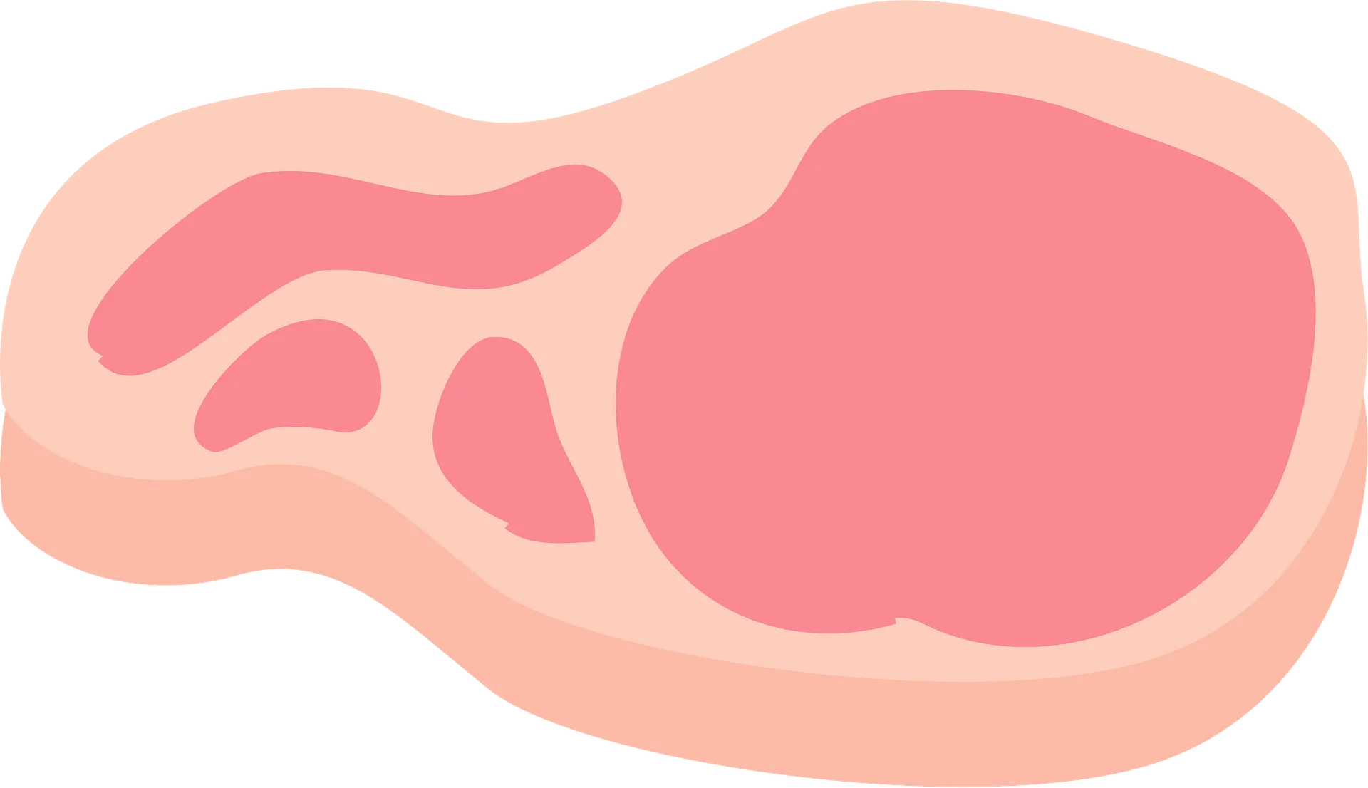 Simplistic Soft-Toned Pork Steak Cross-Section Culinary Clipart Illustration