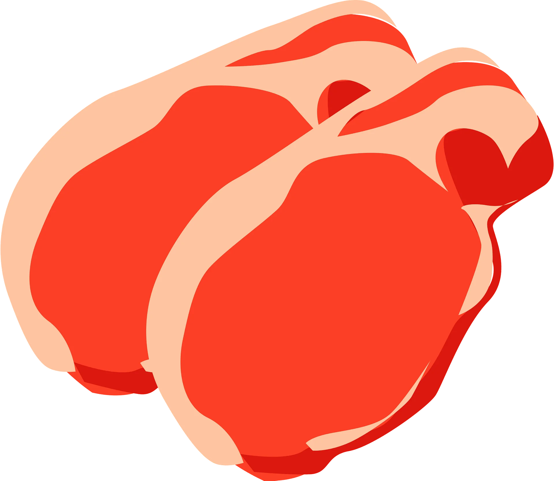 Stylized Red Raw Fresh Pork Meat Cuts Culinary Clipart Graphic Design