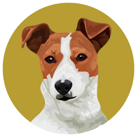 Adorable Jack Russell Terrier Portrait Clipart in Warm Golden Circle