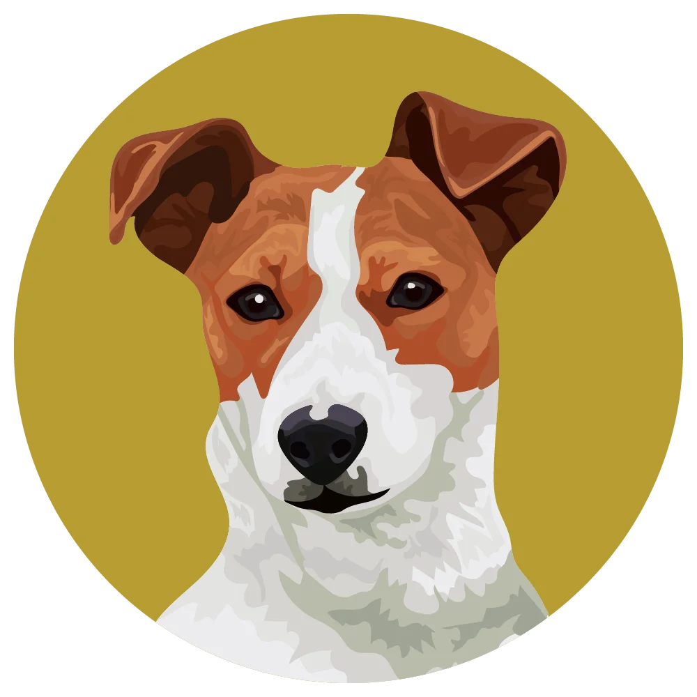 Adorable Jack Russell Terrier Portrait Clipart in Warm Golden Circle