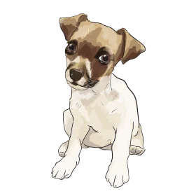 Adorable Jack Russell Terrier Puppy Watercolor Clipart Illustration