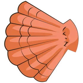 Elegant Coral-Toned Seashell Clipart with Delicate Radial Design
