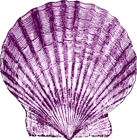 Elegant Purple Seashell Clipart: Intricate Scallop Shell Illustration with Radiant Texture
