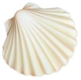 Elegant Seashell Clipart: Pristine Scallop Shell Illustration with Soft Pearlescent Tones