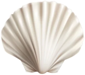 Elegant Seashell Clipart: Pristine White Scallop Shell Illustration with Delicate Ridges
