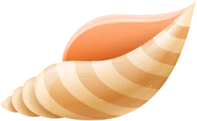 Elegant Seashell Clipart: Smooth Spiral Shell with Warm Peach Gradient