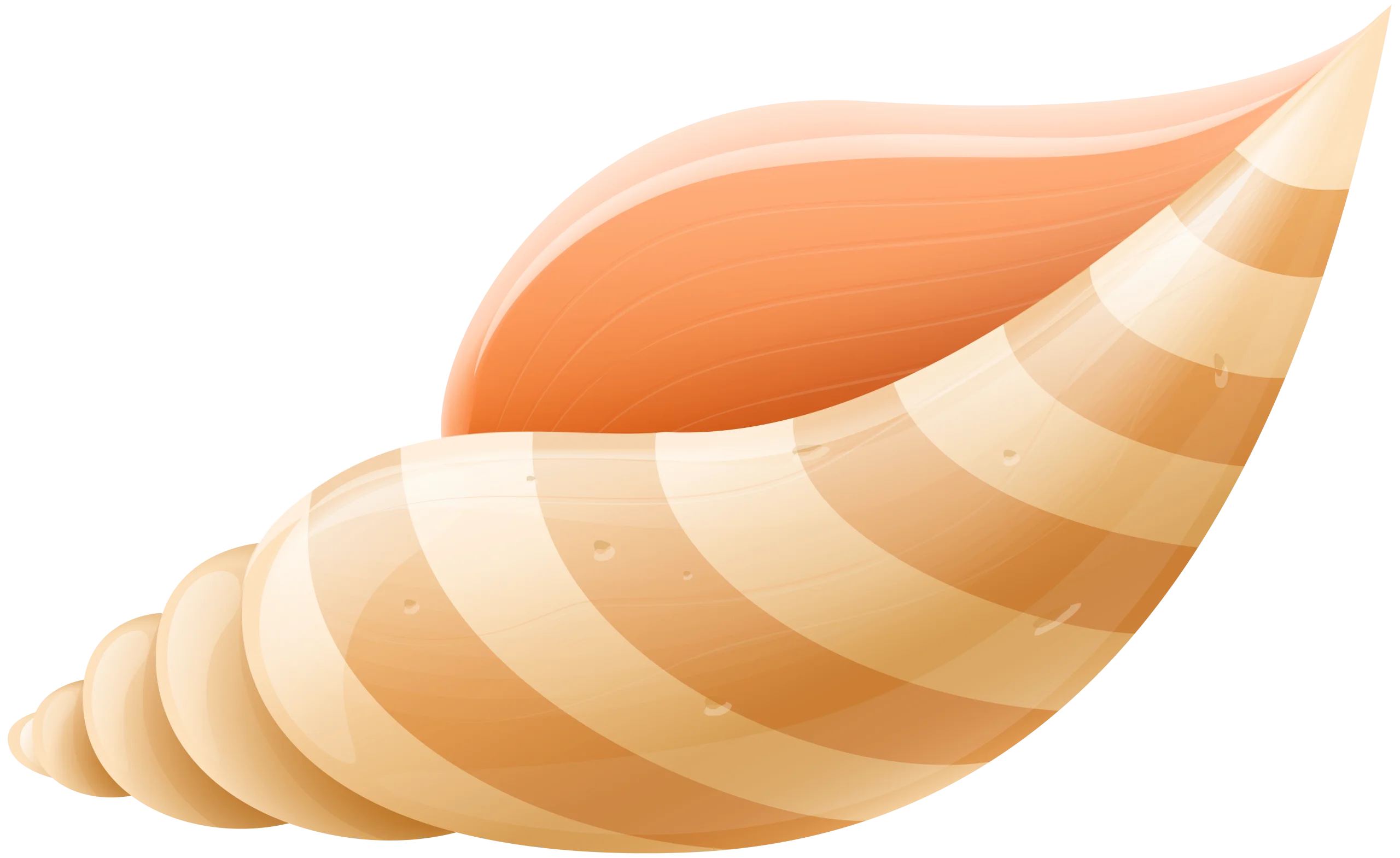 Elegant Seashell Clipart: Smooth Spiral Shell with Warm Peach Gradient