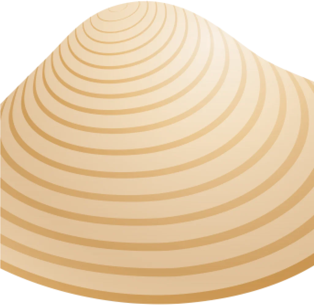 Elegant Seashell Spiral Clipart with Soft Cream Concentric Layers